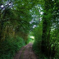 Weg zum Lac de Chailloux