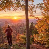 Aussichtspunkt am Kahlen Asten Steig