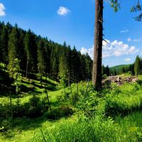 Tal der Großen Mittweida nahe Fichtelberg