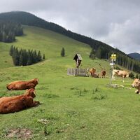 Schwoabauerkreuz mit Osser_Naturpark Almenland_Oststeiermark