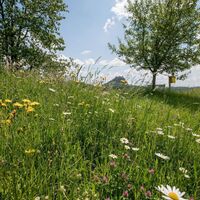 Sommerliche Radtour durch die Region