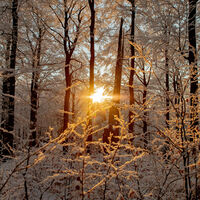 Sonnenuntergang am Gibacht