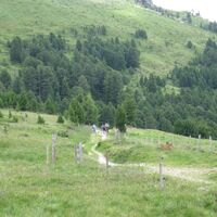 Waldheimhütte - Lavantsee - Zirbitzkogel