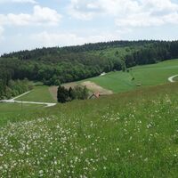 Scheibenhof