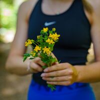 Panoramaallee-20 © Christine Höflehner (2025-06).jpg