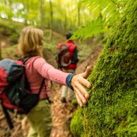 Schlucht im Dieterswald