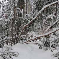 Semmering - Eselstein