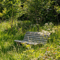 Etappe 13 Natursteig Sieg