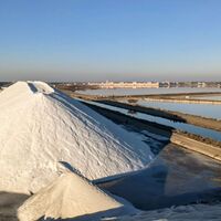 Weine und Mittelmeer0005 ©Gilles Delerue - ADT34