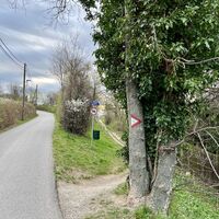Nach den letzten Häusern Badens dann hier auf den Wasserleitungsweg