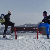 Der Wind weht über die freien Flächen