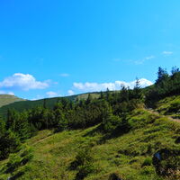 Niederalpl - Hohe Veitsch - Seewiesen