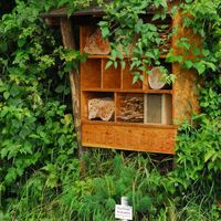 Naturlehrpfad Billafingen