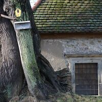 Nikolaifriedhof Mollerlinde, Görlitz