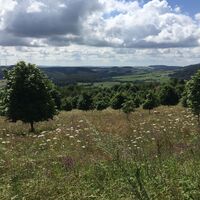 Bei Bosenbach