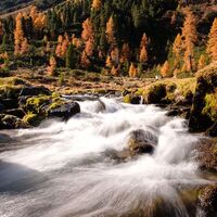 Fundusbach Herbst