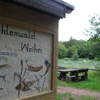 Rastplatz am Mühlenwaldweiher
