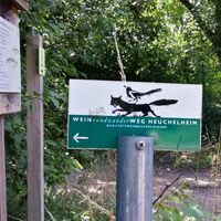 Wegemarkierung Weinrundwanderweg Heuchelheim