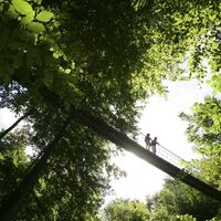Hängebrücke bei Kühhude am Rothaarsteig