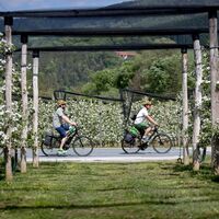 An der Steirischen Apfelstraße