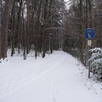 Waldweg vom Schloss in den Ort