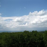 Über's Leithagebirg