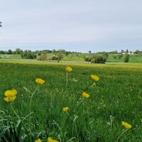 Zwischen Wiese und Wald bei Karlsbad