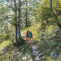 Scheffau_Jägersteig_Wilder Kaiser