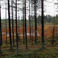 Nissinvaara Route in herbstlichen Farben