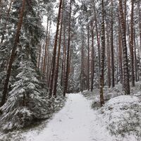 Wintermärchen