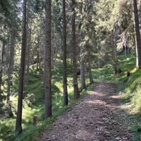 Herrlich kühl ists hier an diesem sommerlichen Juli-Vormittag!