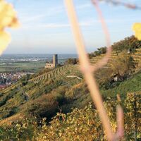 Tourismus Service Bergstrasse Burgensteig Burg Schriesheim Herbst TSB