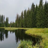 Hammerklause im erweiterten Nationalpark