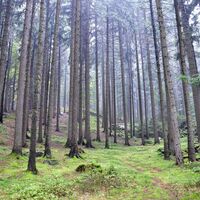 Natur pur