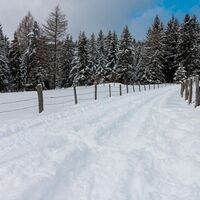 im schnee auf die packeralpe_img_25667540