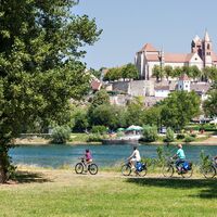 Blick auf Breisach