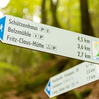 Sagenhafter Waldpfad - Wegweiser