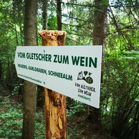 Am Gletscher - Wein Weitwanderweg