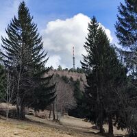 freier Blick zum Brotjacklriegel von der Bergwiese in Neufang