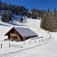 Sonnige Plätze zum Genießen bei der Anzenbergalm, bevor die steile, nordseitige Abfahrt nach Hintersee beginnt.