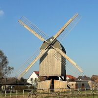 Bockwindmühle Dettum
