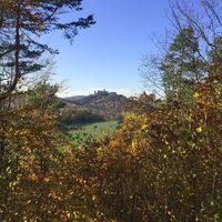 Wartburgblick von der Louise Bornemann-Bank im Johannistal