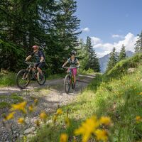 Carì Bike