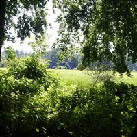 Blick auf den Rimmelsbacher Hof aus dem Wald