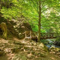 Ravennaschlucht