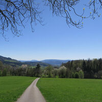 Wehr 5