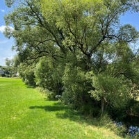 Eschachweg Floezlingen