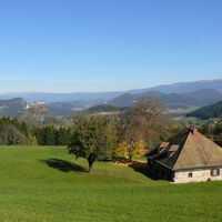 Wiese