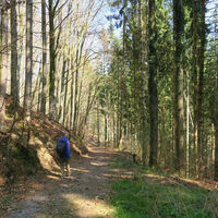 Hotzenwald