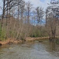 Unregulierter Teil des Braunaubaches